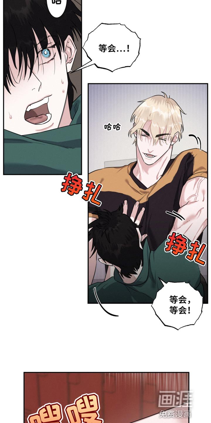 第34章：真的吗？