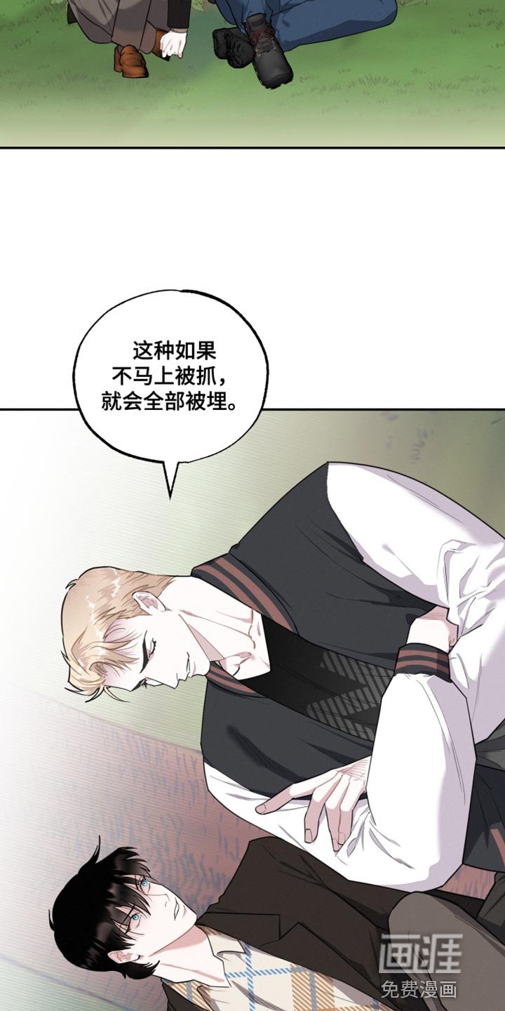 第40章：愿望