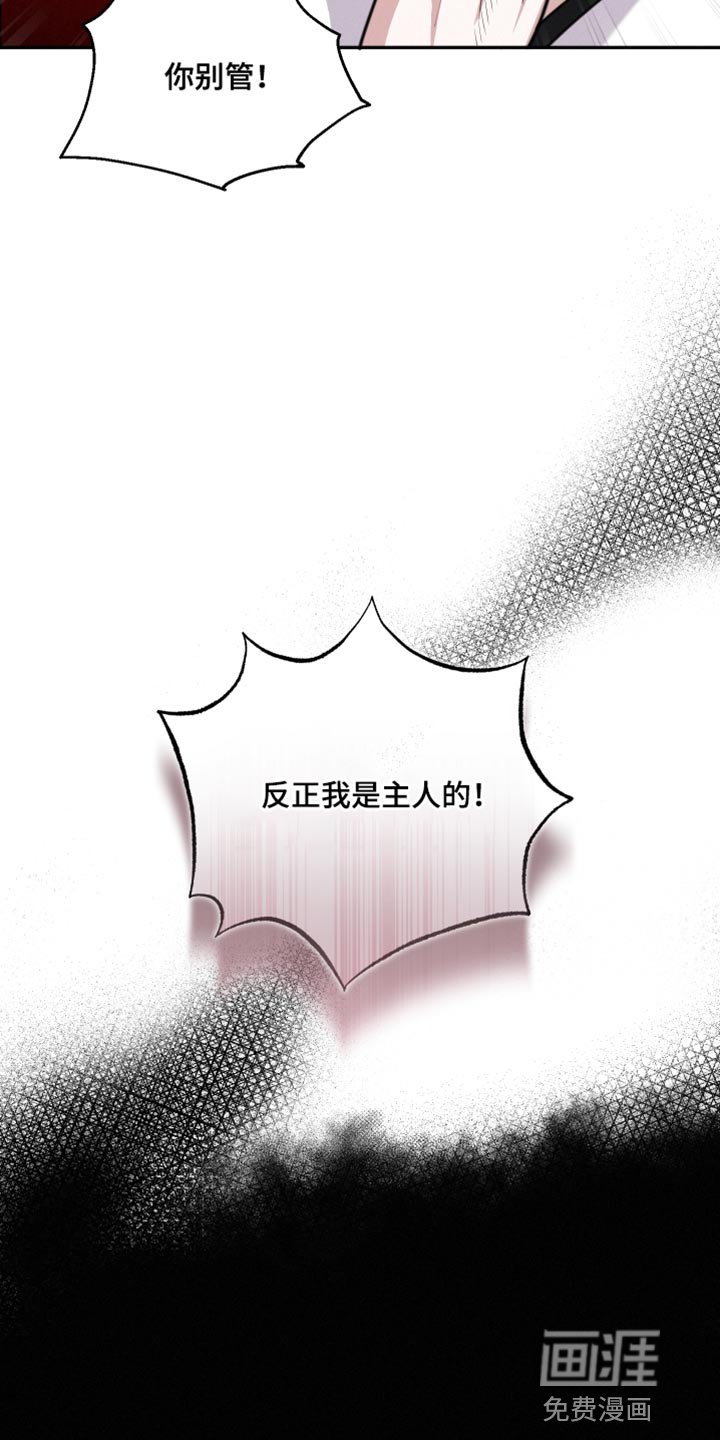 第42章：让人心软