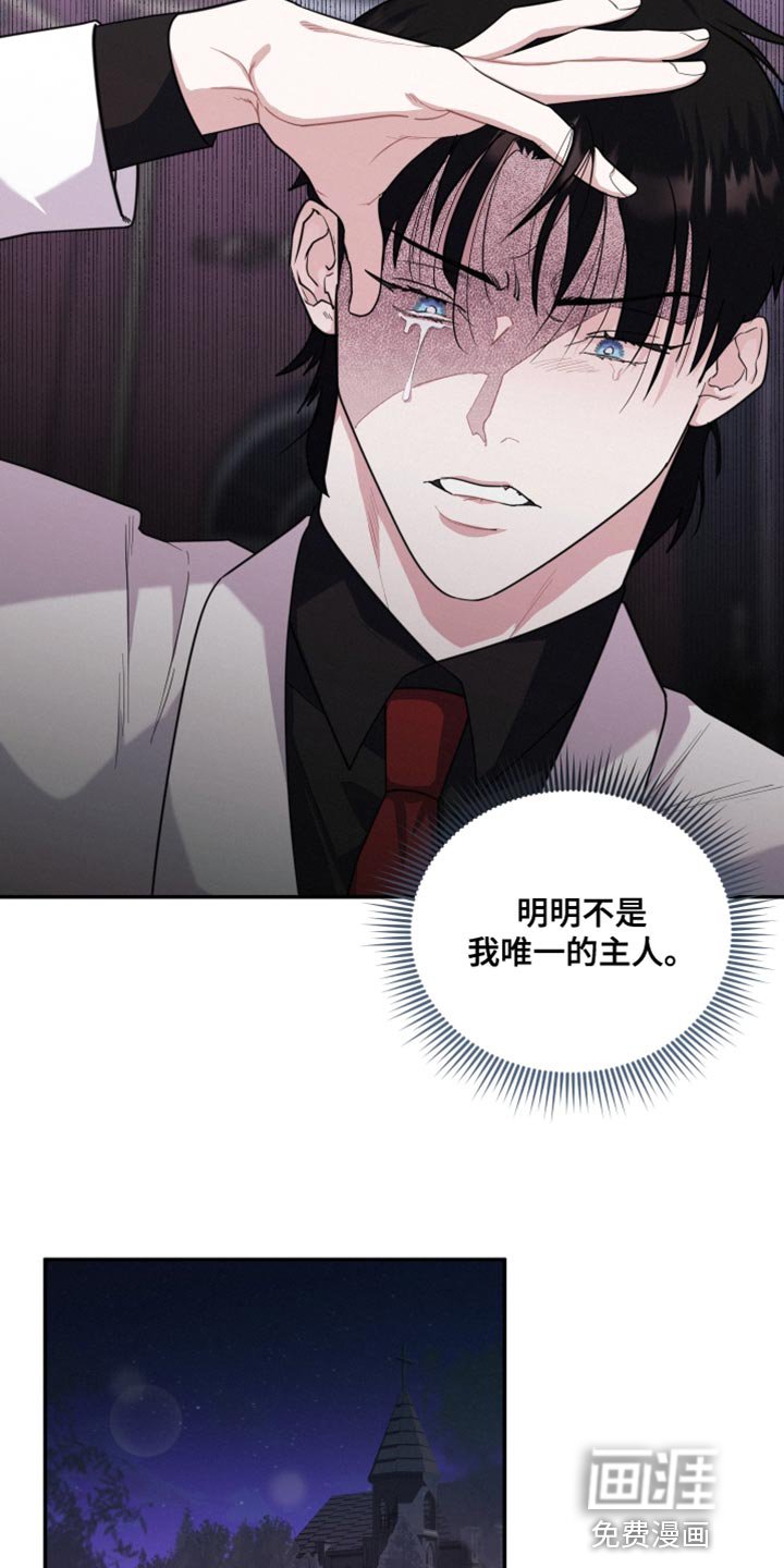 第42章：让人心软