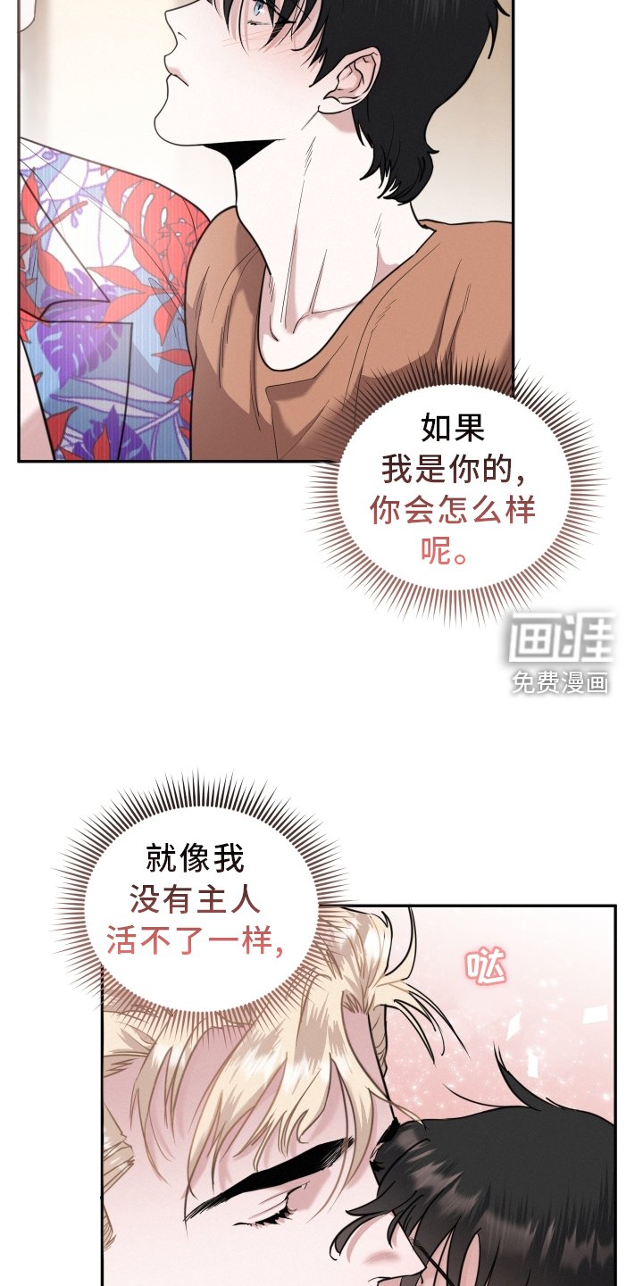 第46章：期待