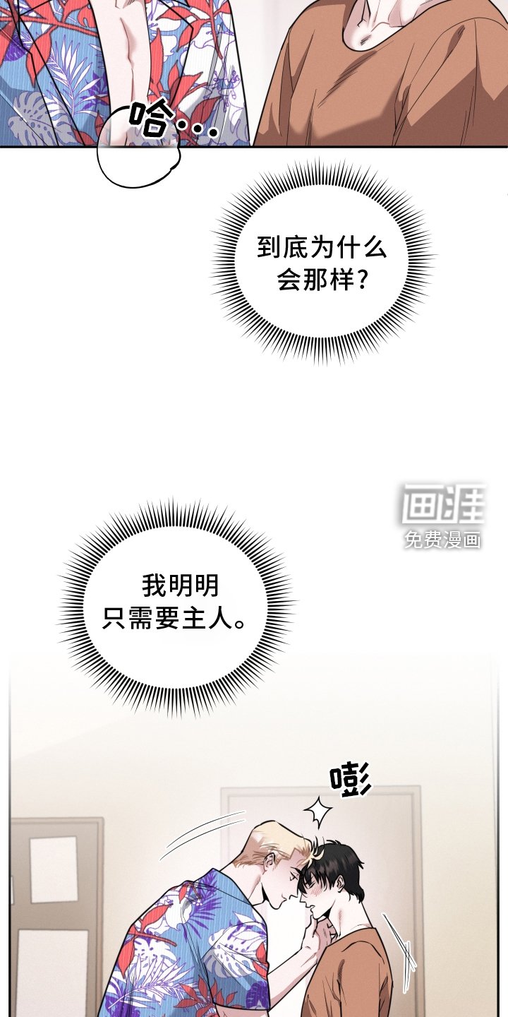 第46章：期待