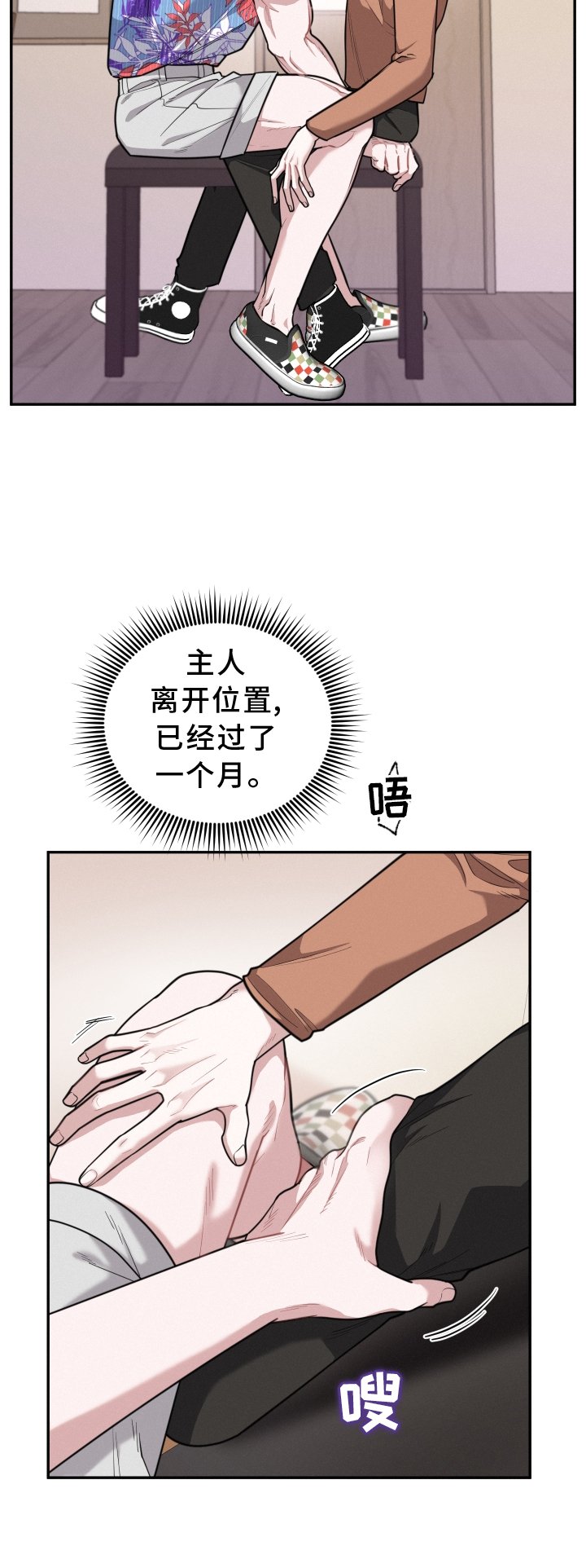第46章：期待