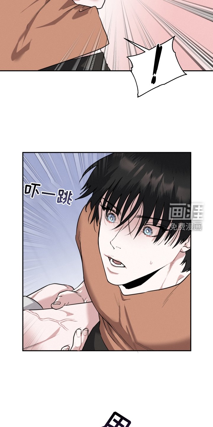 第46章：期待