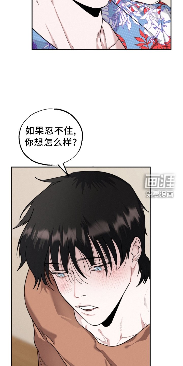 第46章：期待
