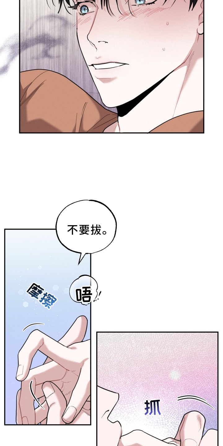 第46章：期待