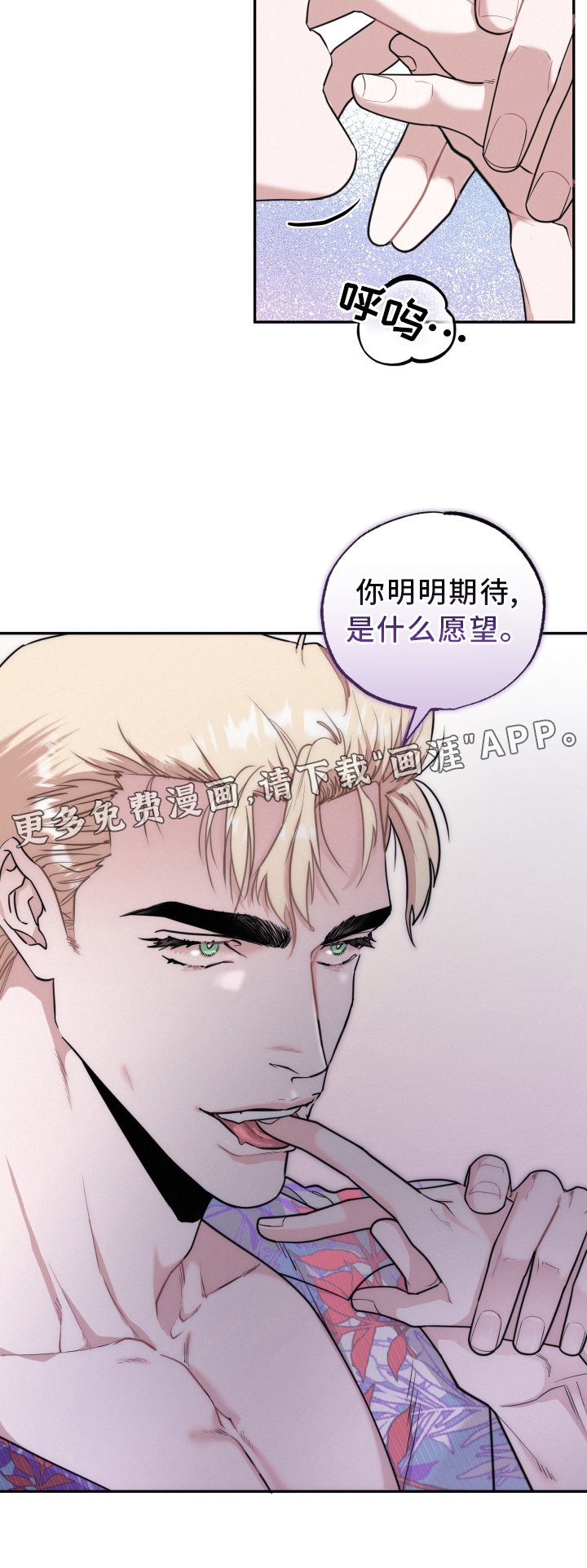 第46章：期待