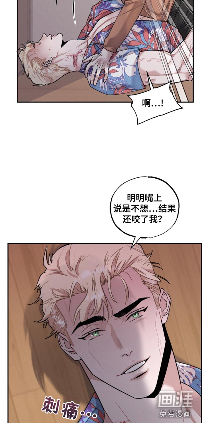 第48章：我不会再停下来了