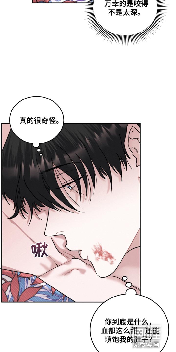 第48章：我不会再停下来了