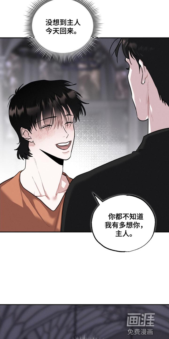 第49章：证明爱情
