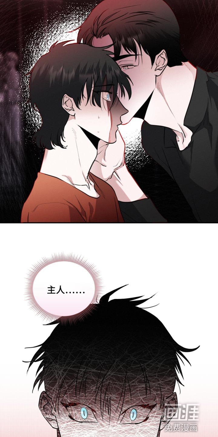 第49章：证明爱情