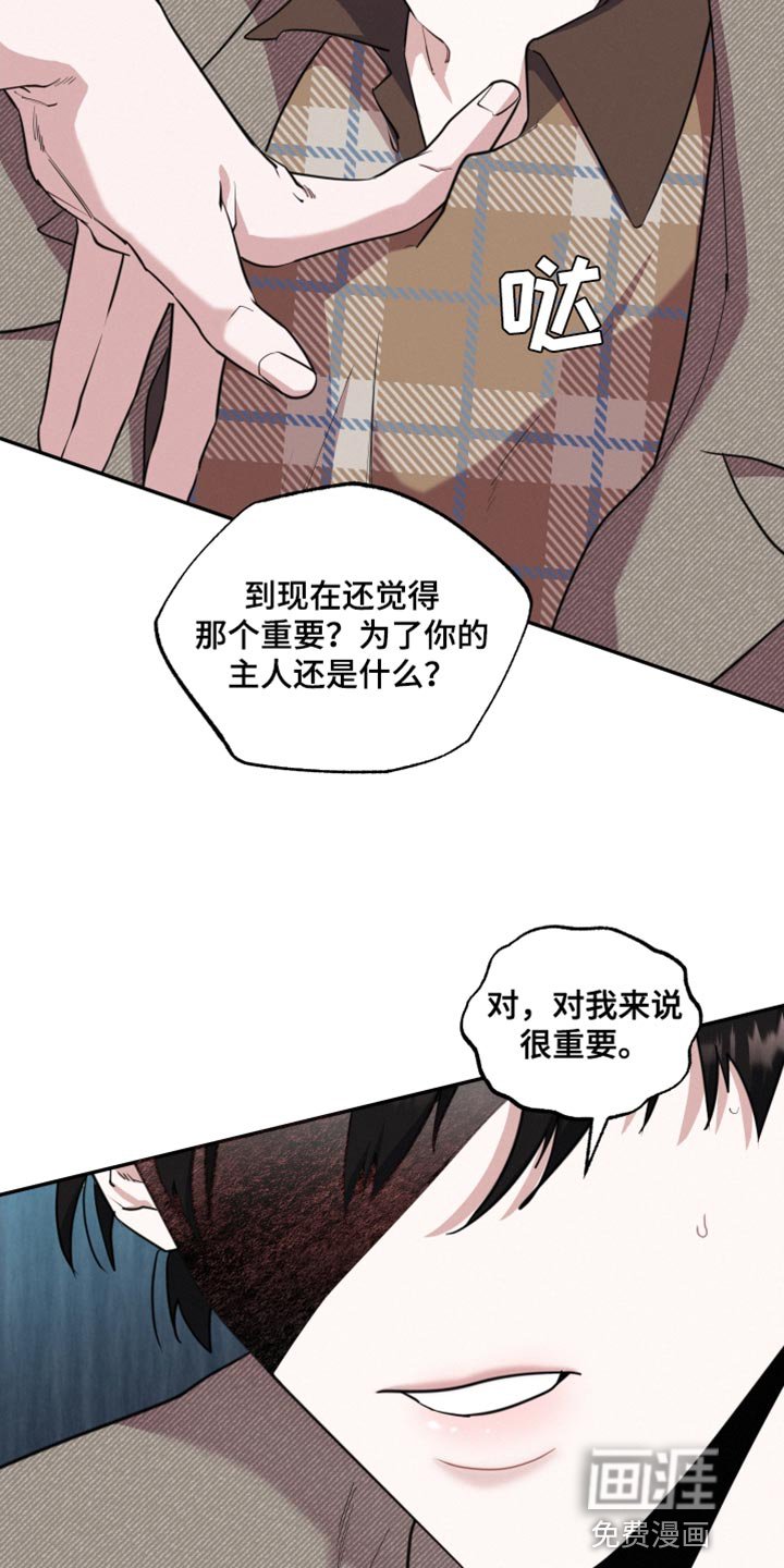第51章：真的很有趣