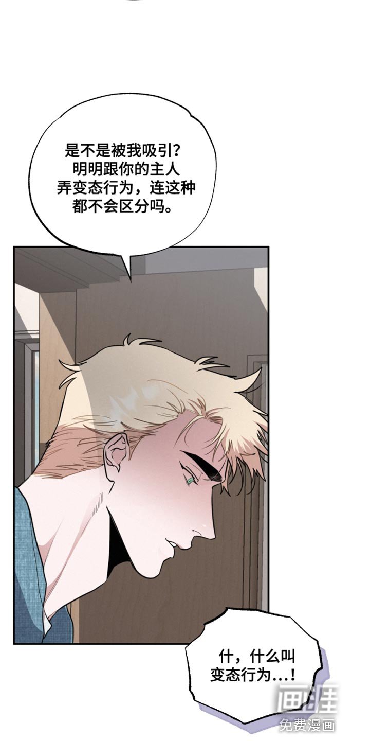 第51章：真的很有趣