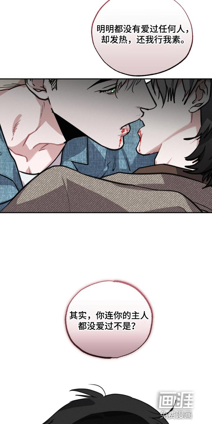 第52章：我应该得到他的爱