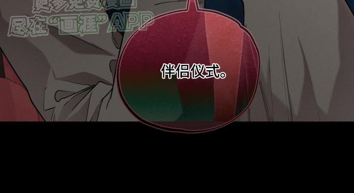 第58章：你醒了【第一季完结】