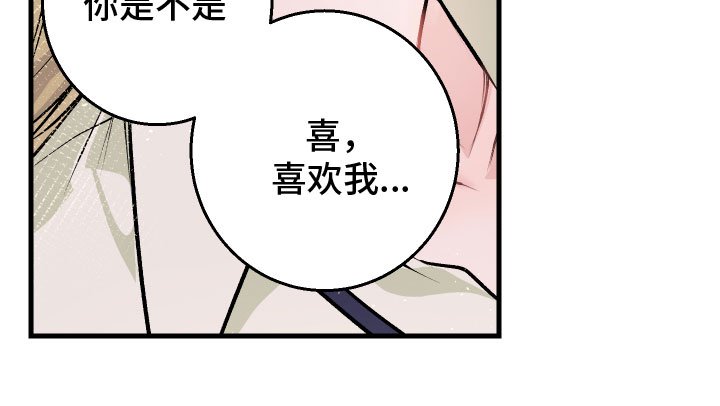 第8章：解释