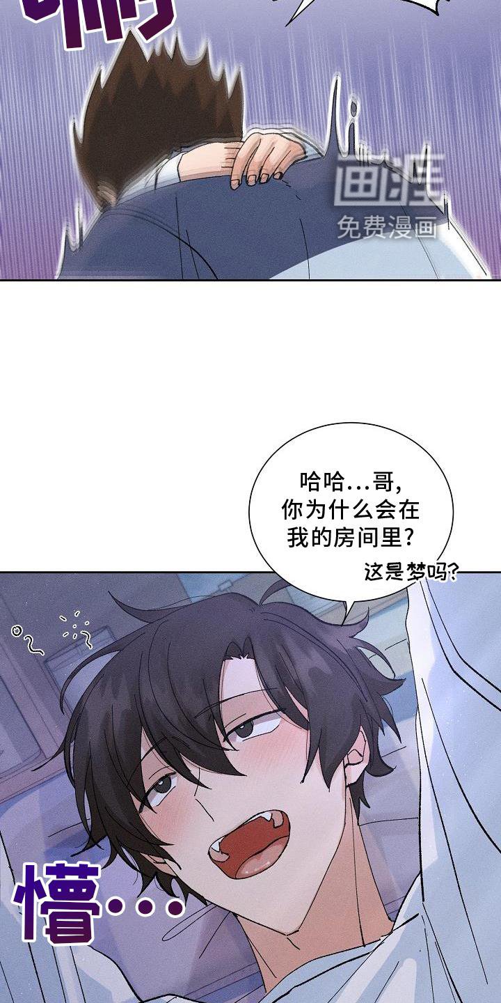 第16章：躲避