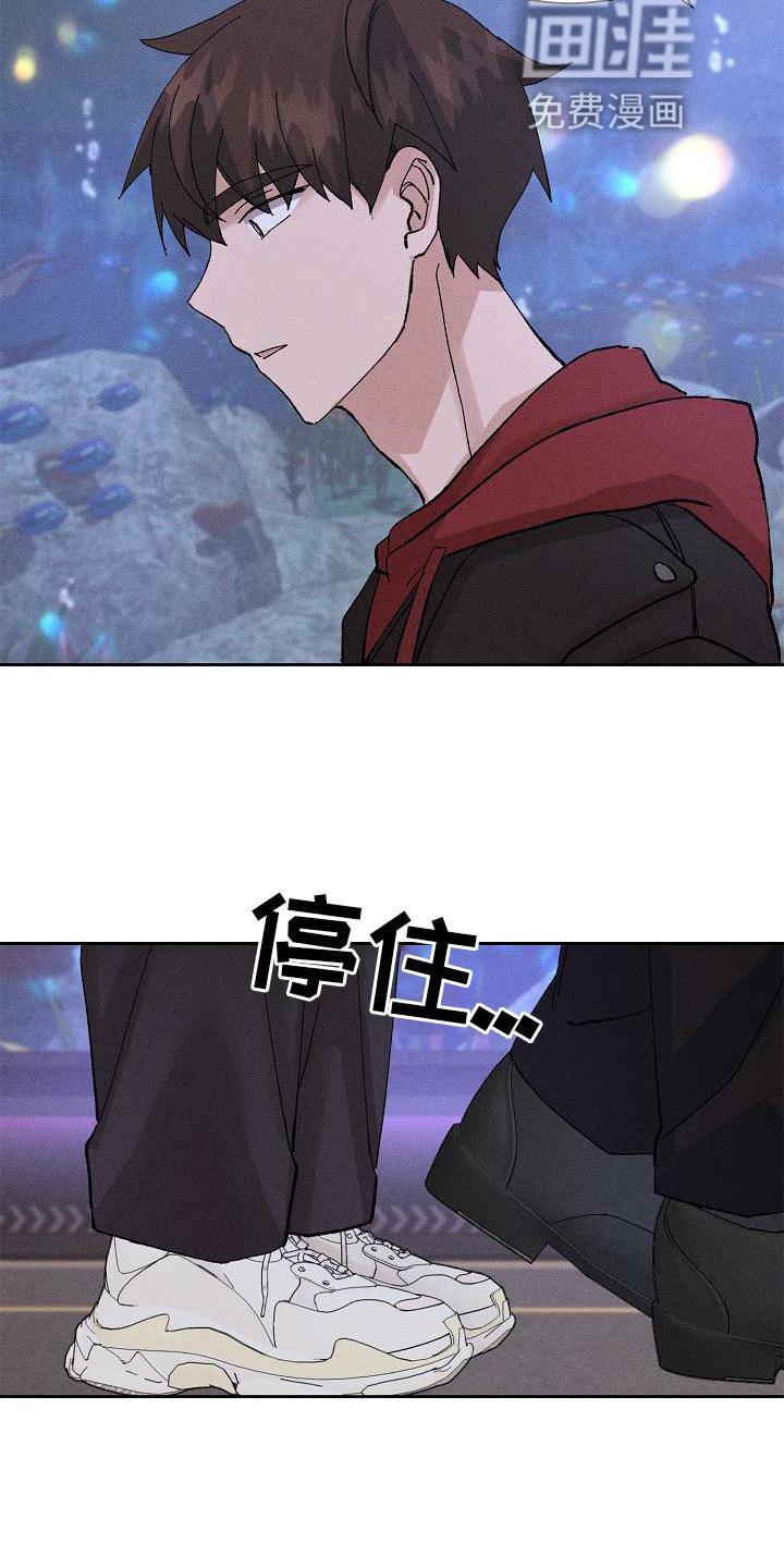 第19章：提醒