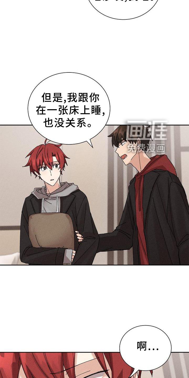 第21章：成熟