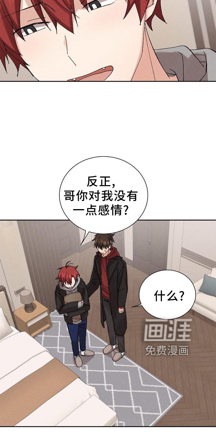 第21章：成熟