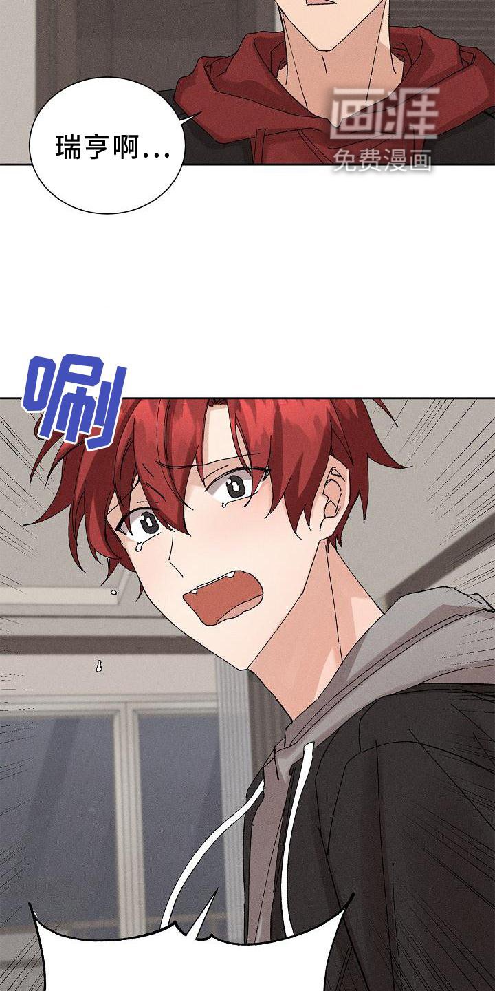 第21章：成熟