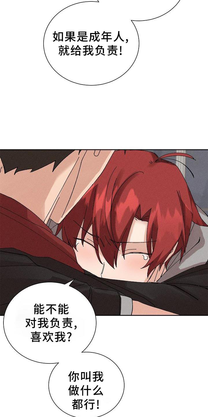 第21章：成熟