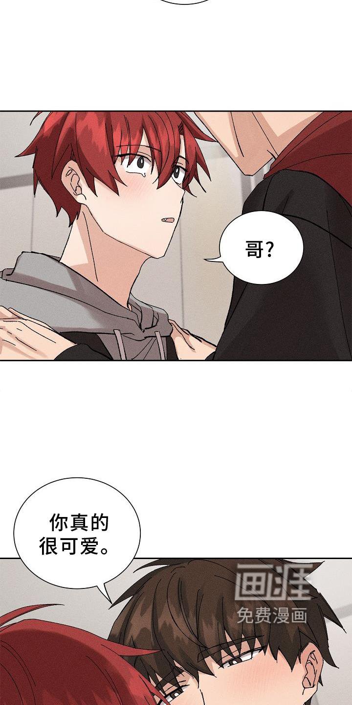 第21章：成熟
