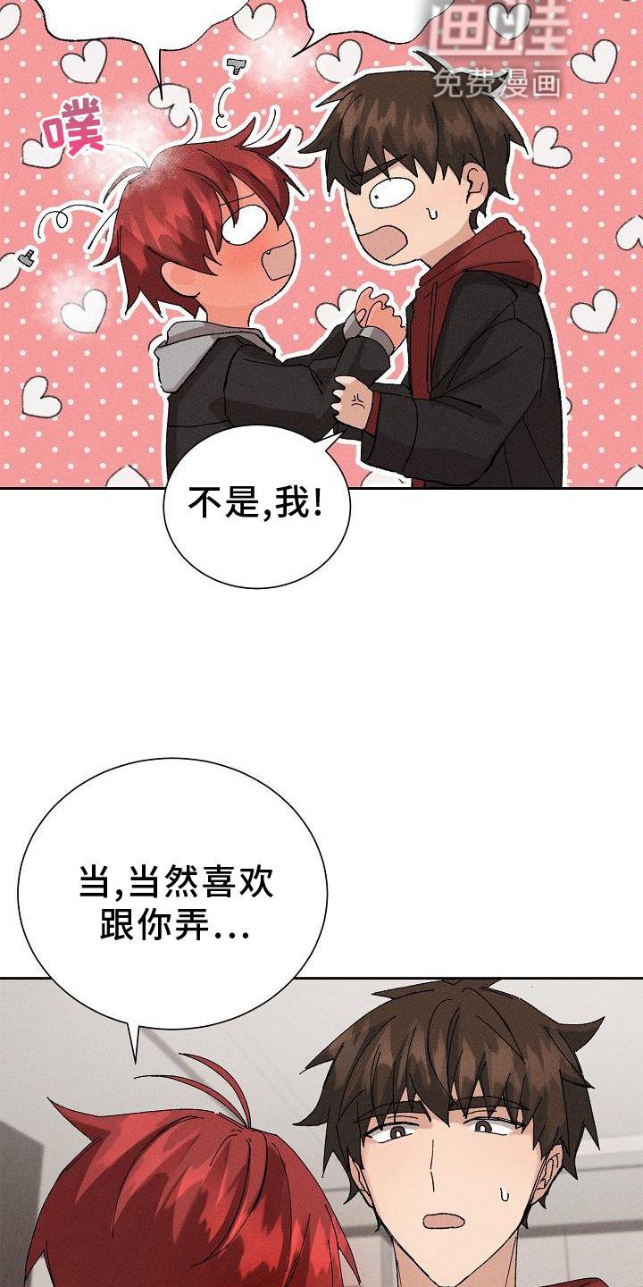 第21章：成熟