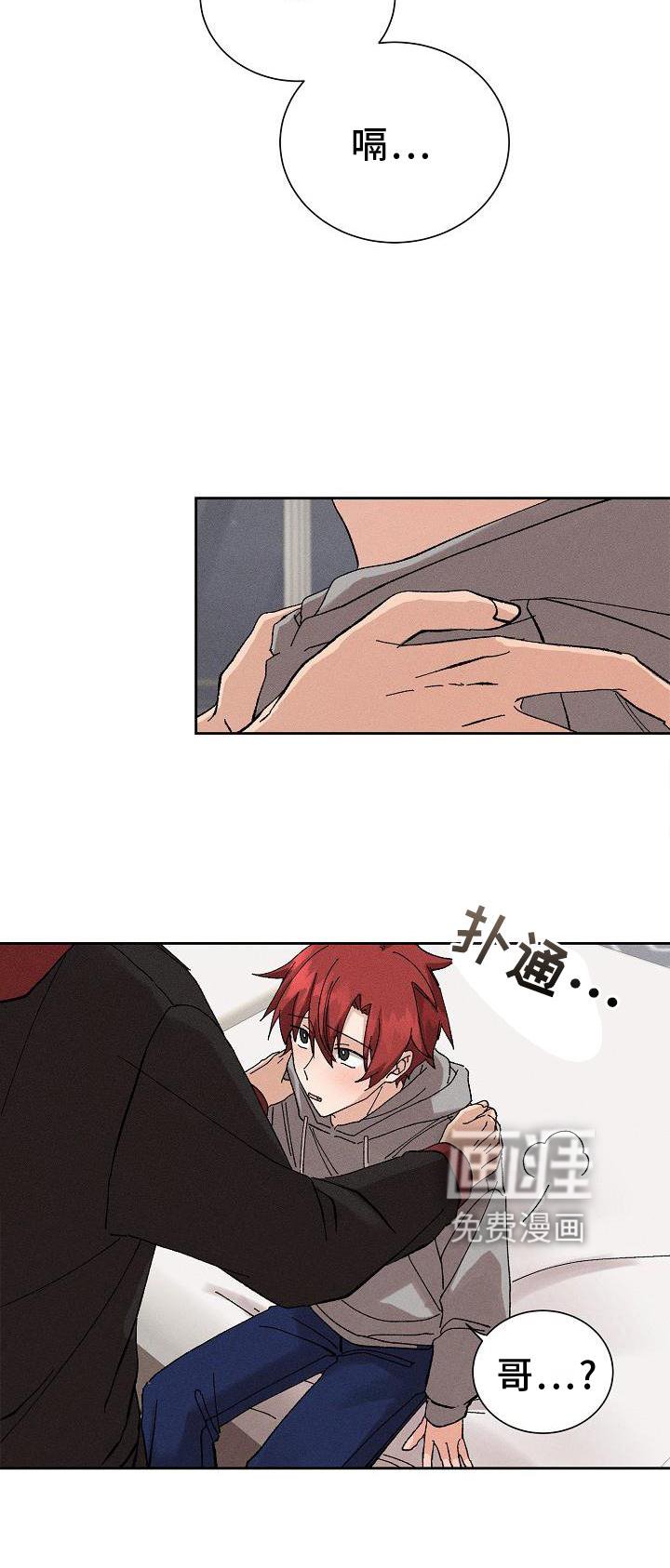 第21章：成熟