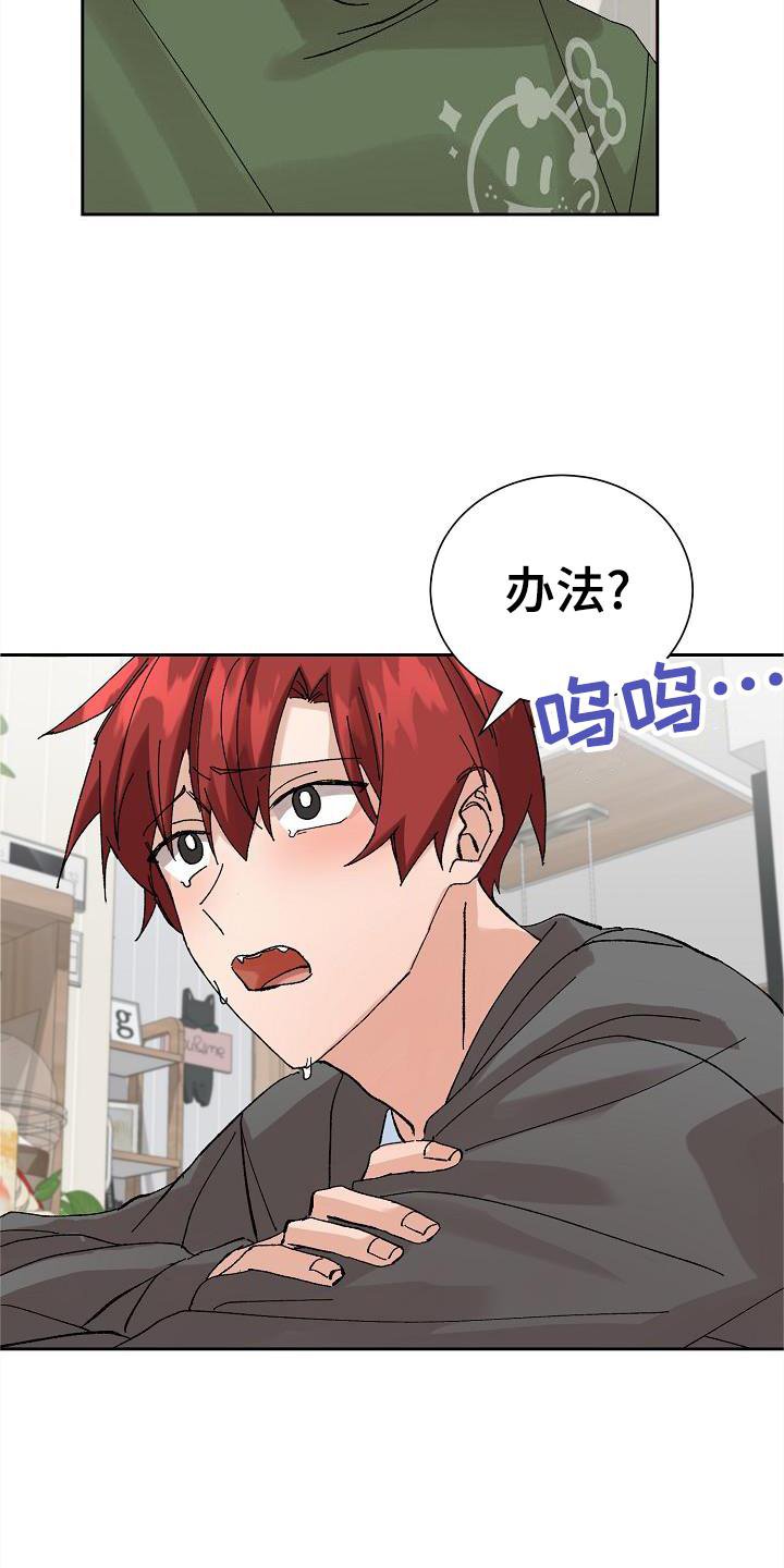 第24章：电话