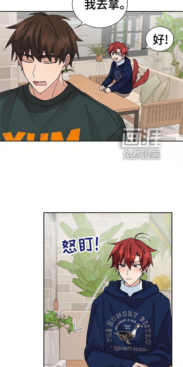第24章：电话
