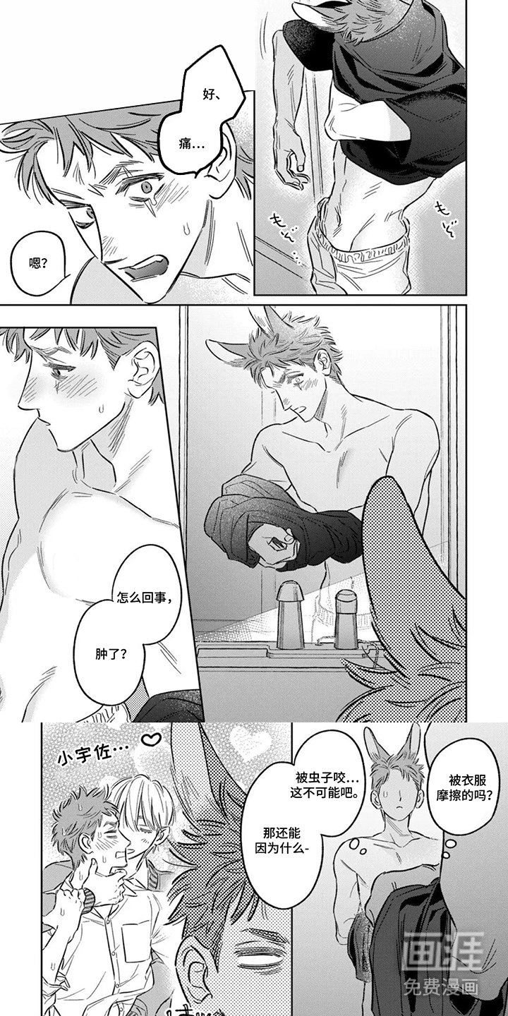 第18章：假怀孕