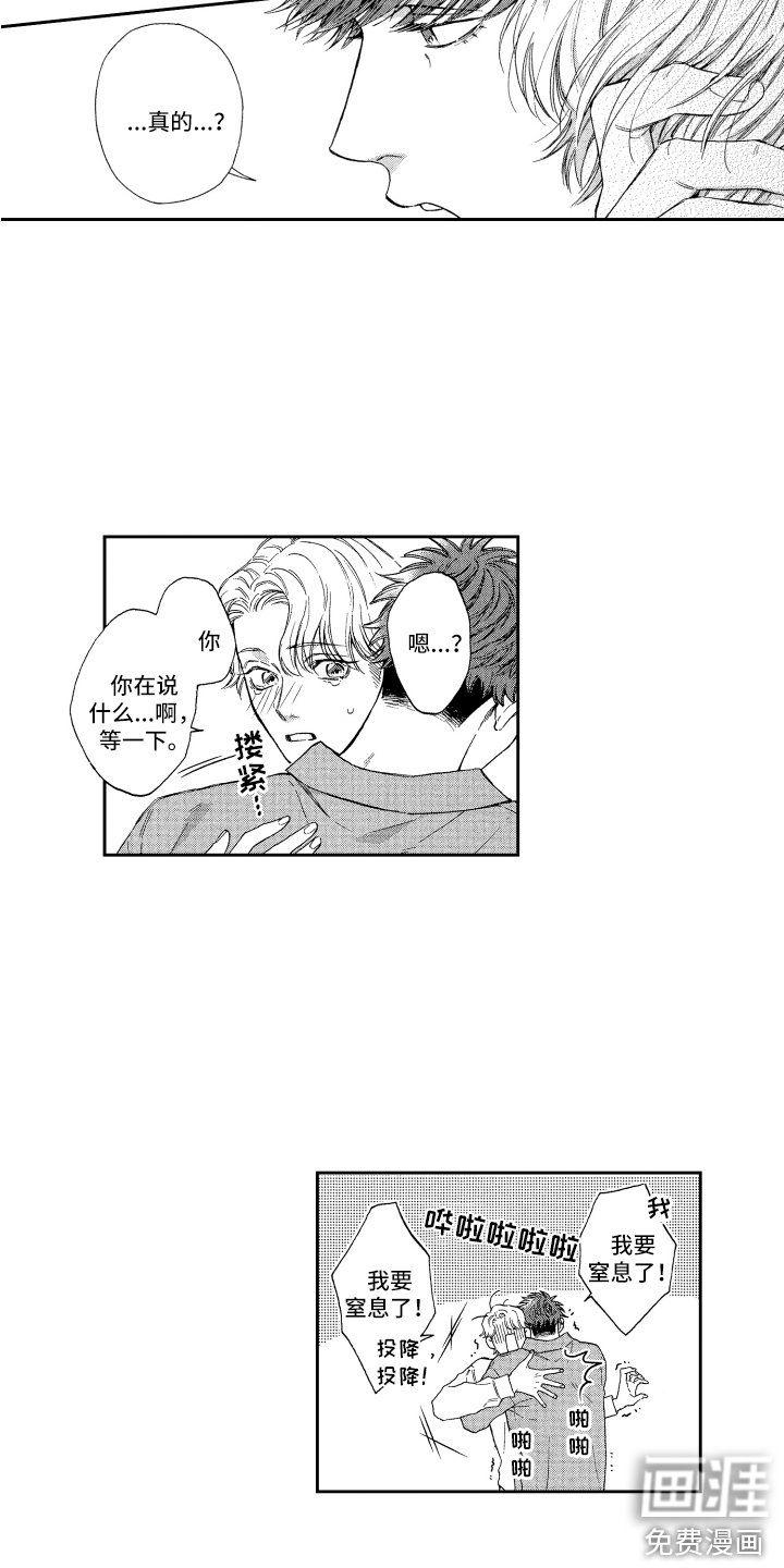 第20章：解释
