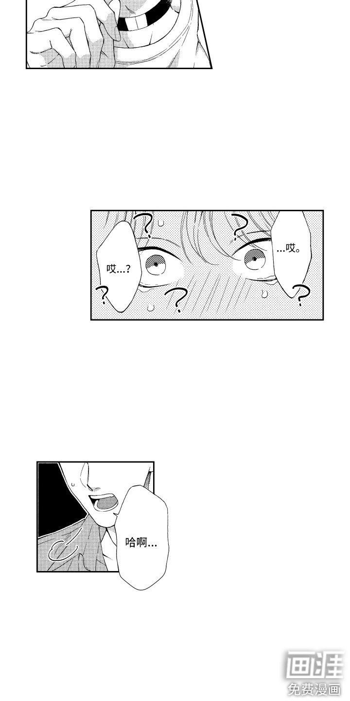 第20章：解释