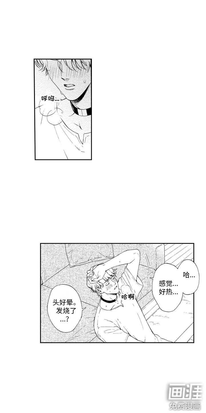 第5章：信息素