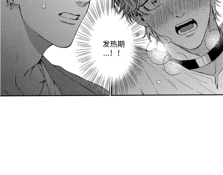 第5章：信息素