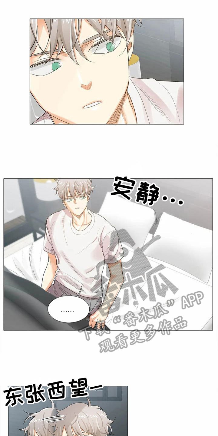 第13章：原因