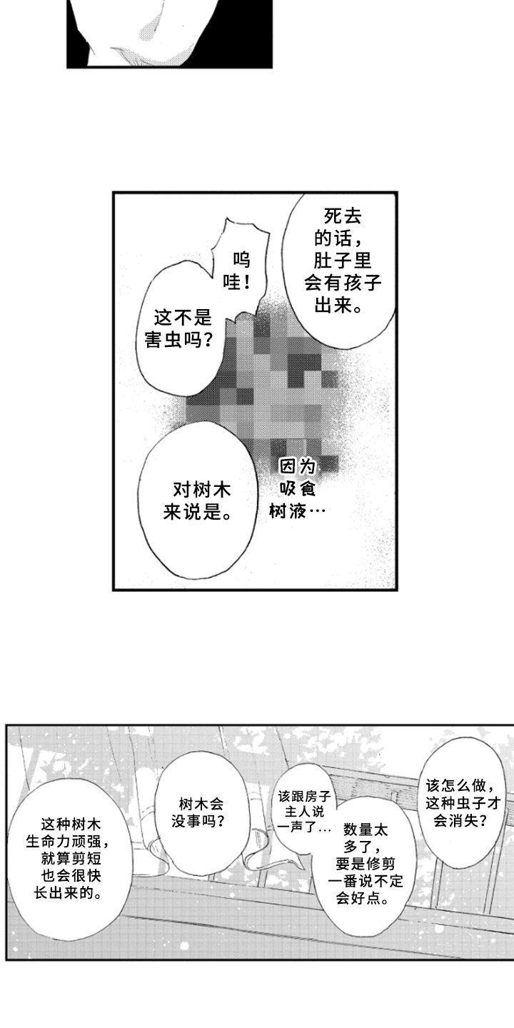 第15章：理解