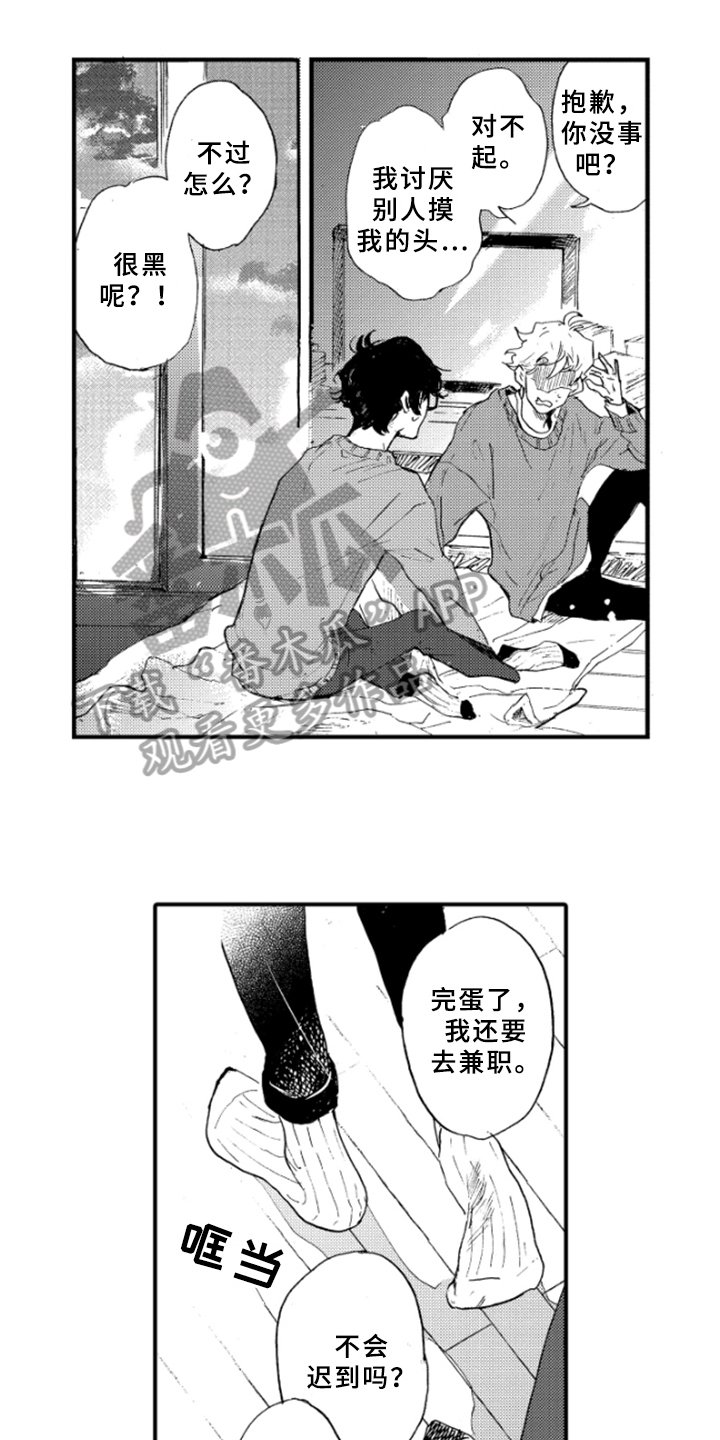 第19章：约定