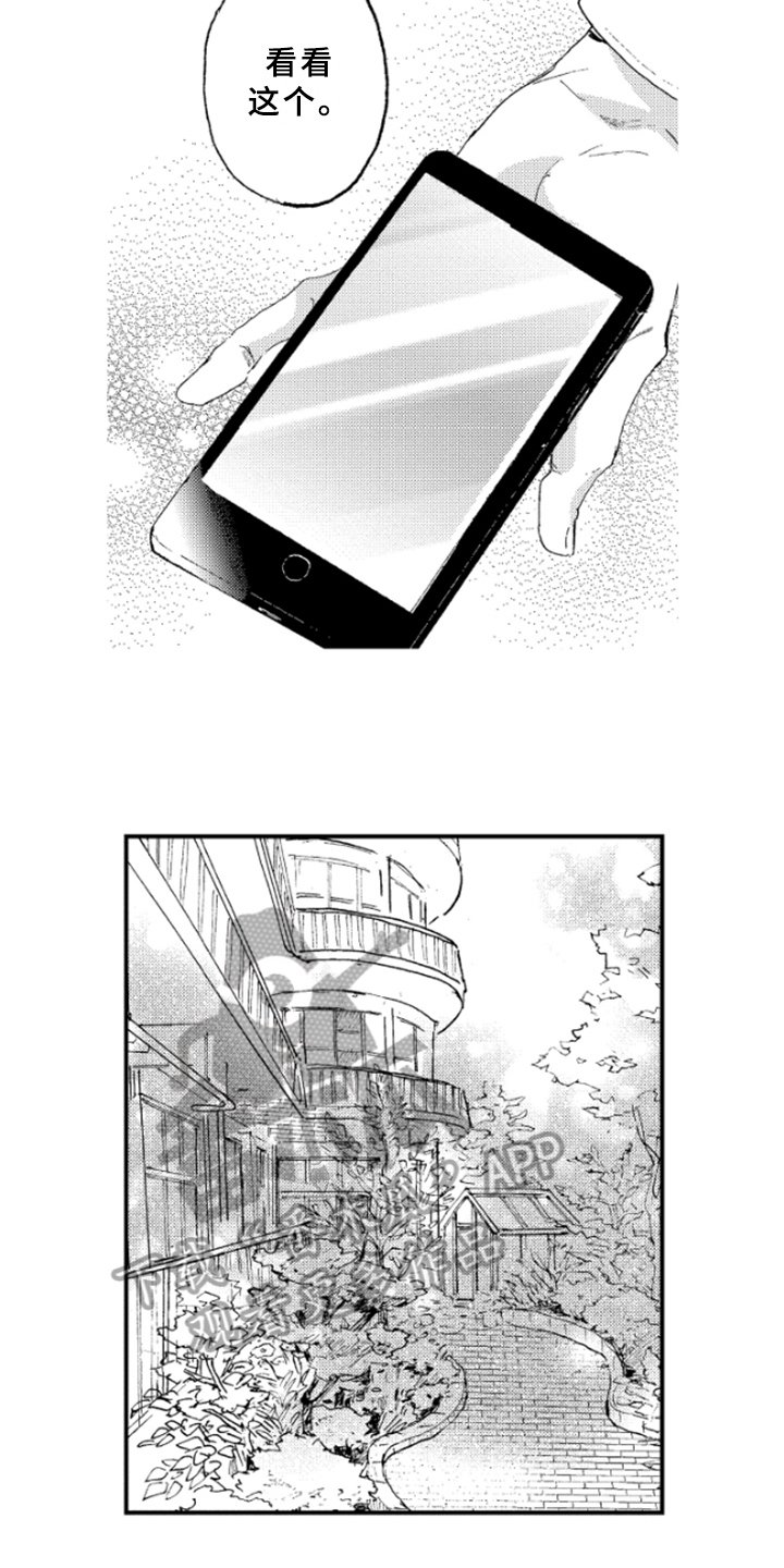 第21章：冲击