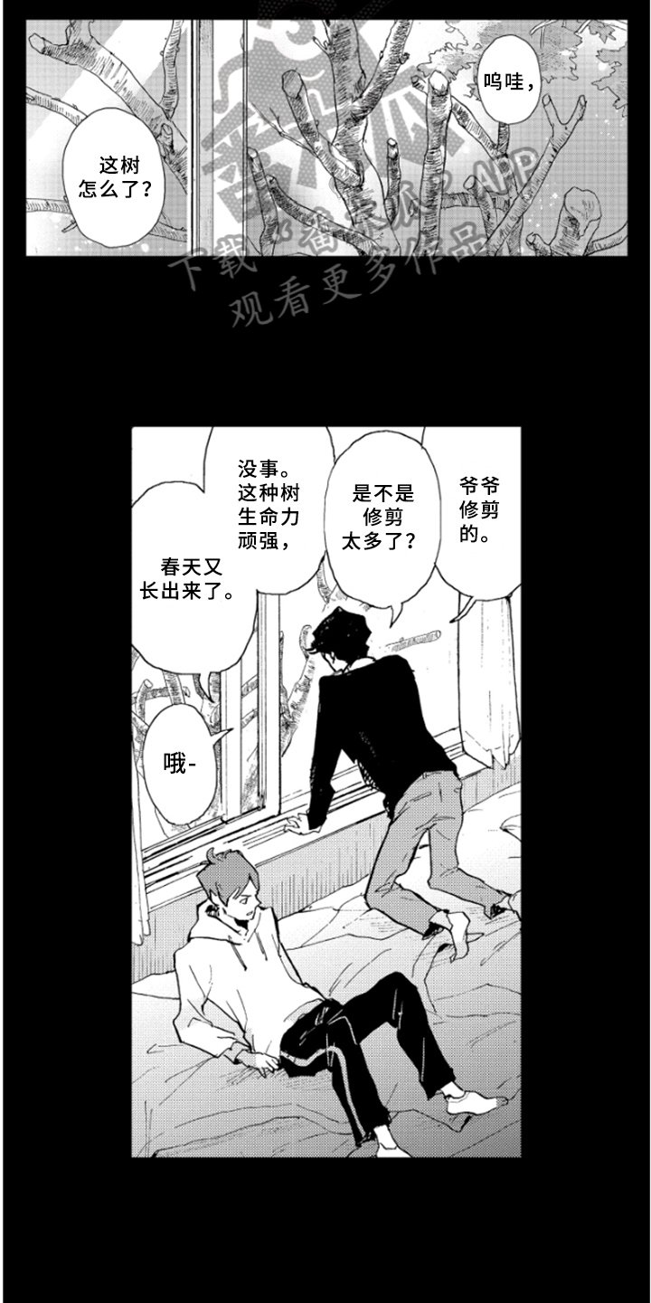 第28章：过去的回忆