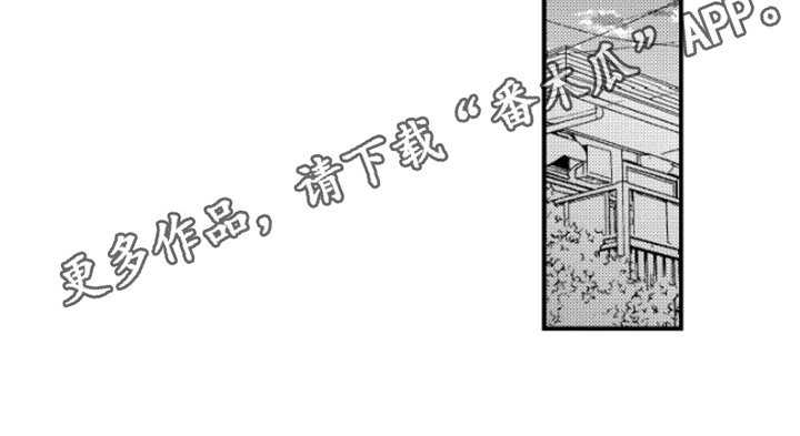 第29章：执着