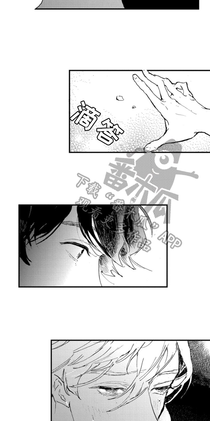 第30章：照片
