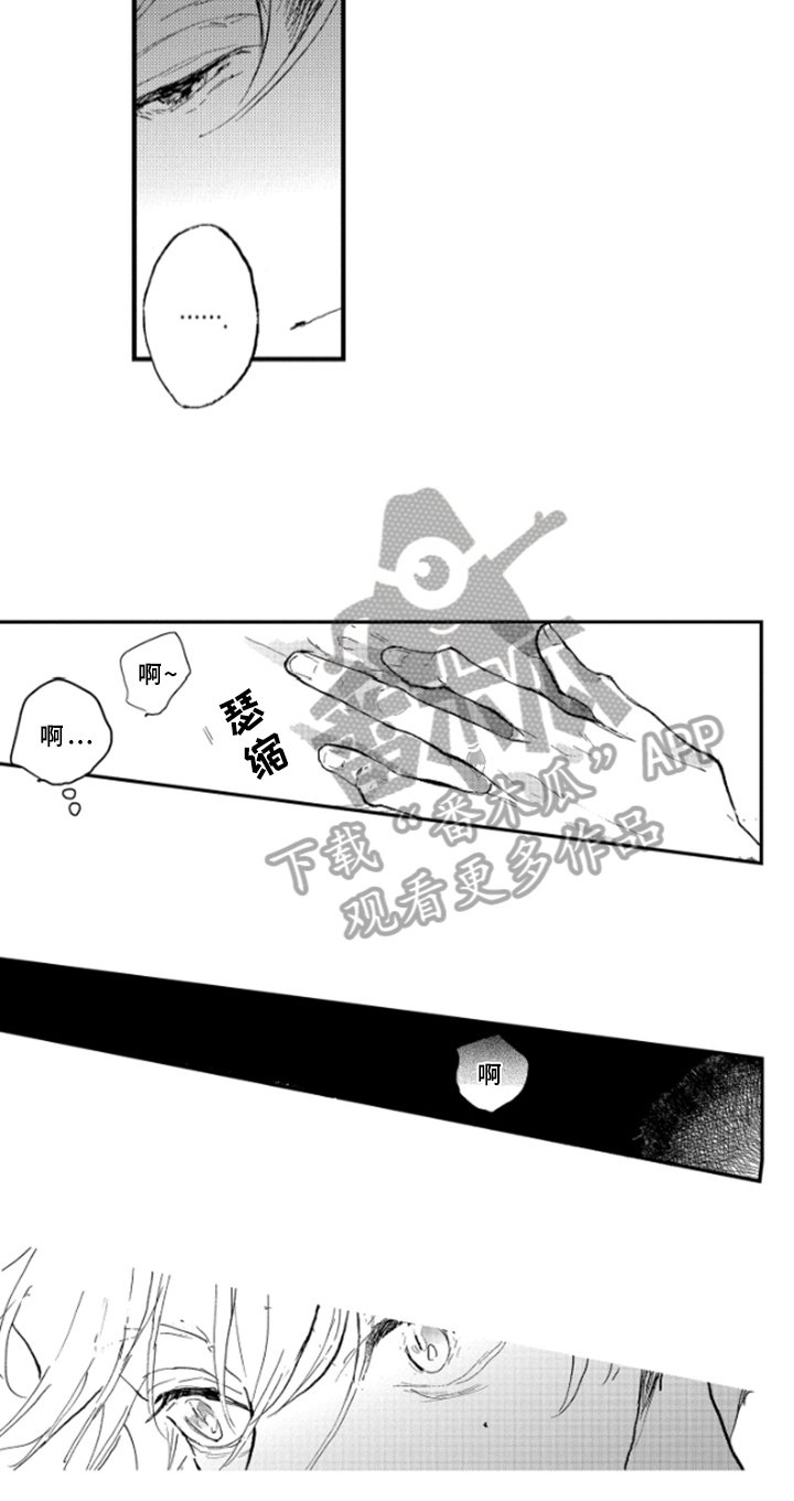 第30章：照片
