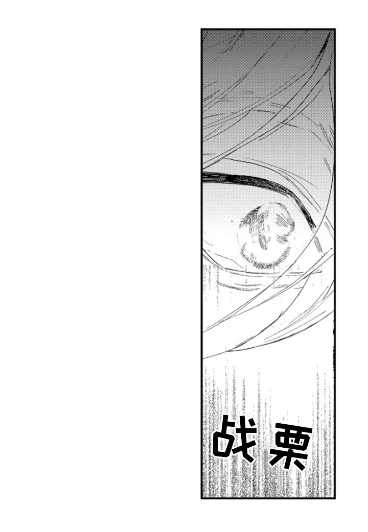 第31章：阴影