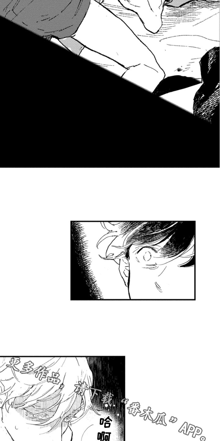 第31章：阴影