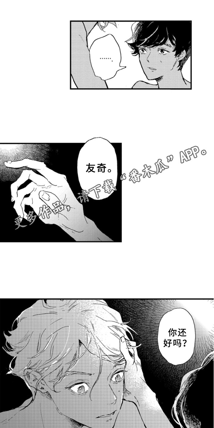 第31章：阴影