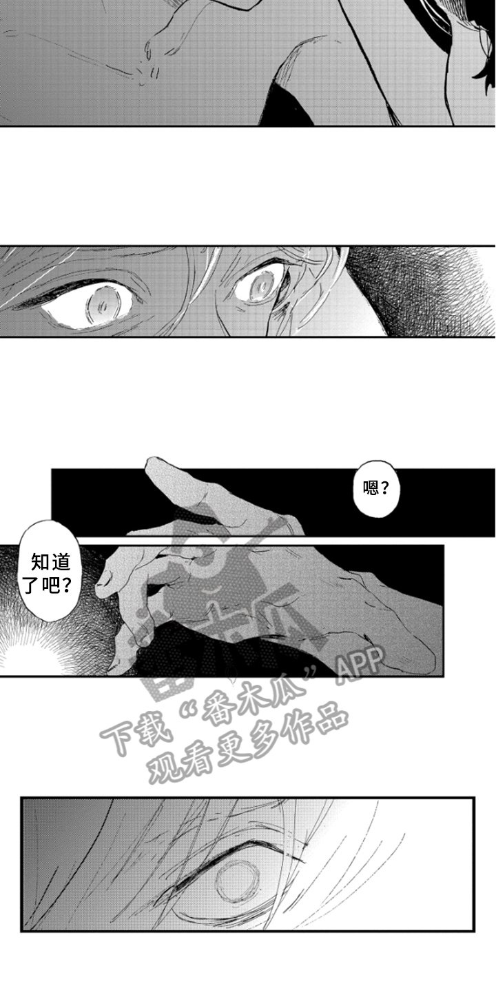 第31章：阴影