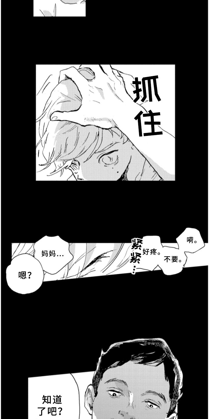 第31章：阴影