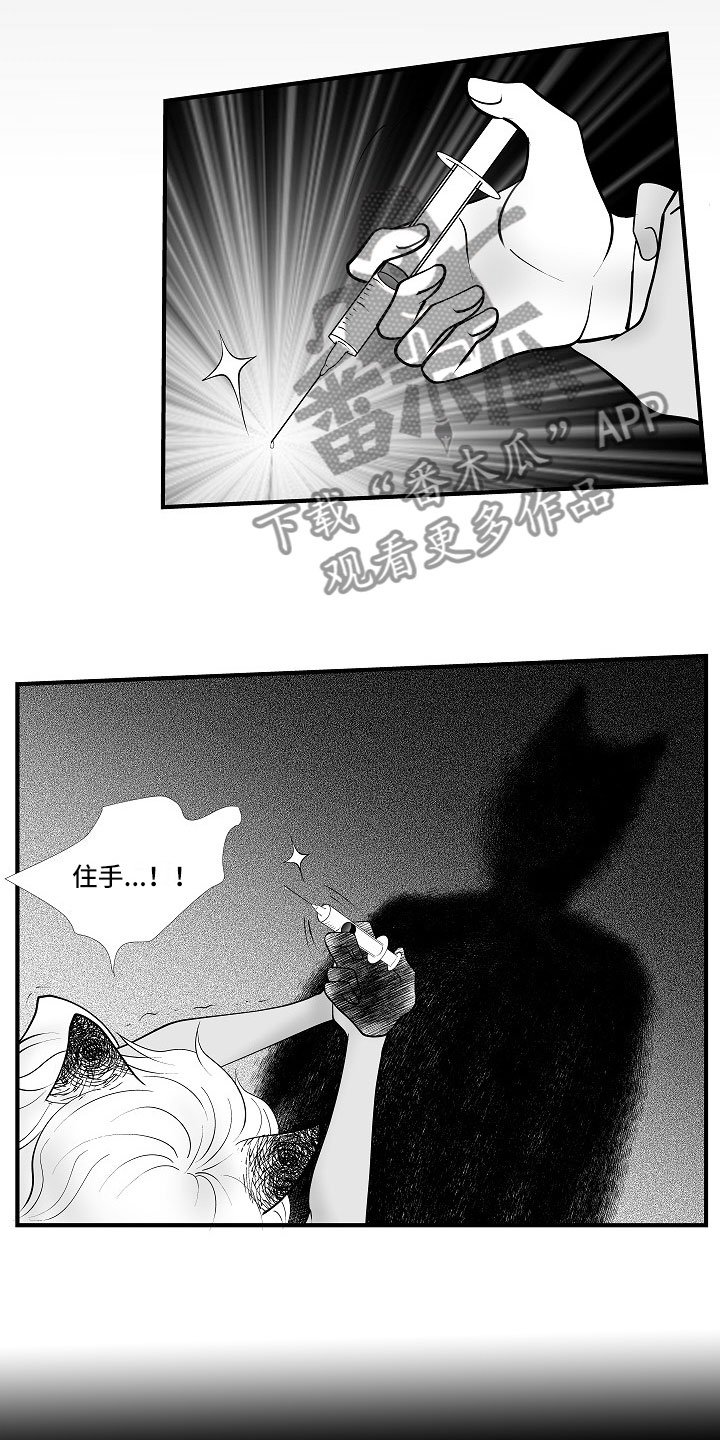 第11章：所长的目的